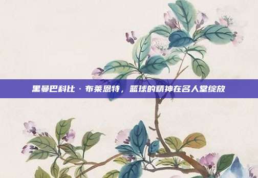 黑曼巴科比·布莱恩特，篮球的精神在名人堂绽放  第1张