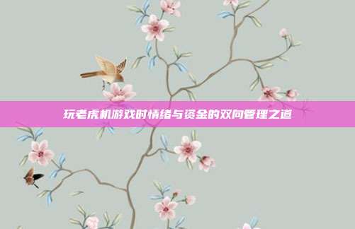 玩老虎机游戏时情绪与资金的双向管理之道  第1张