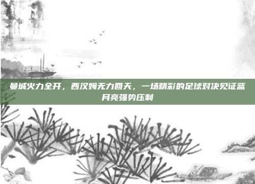 曼城火力全开，西汉姆无力回天，一场精彩的足球对决见证蓝月亮强势压制  第1张