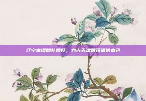 辽宁本钢稳扎稳打，力克天津展现钢铁本色  第1张